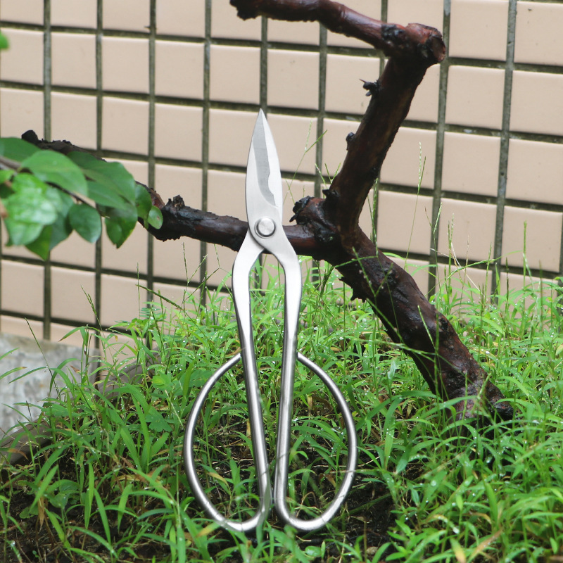 Bonsai Tool Set - Tesouras de jardim totalmente em aço,
