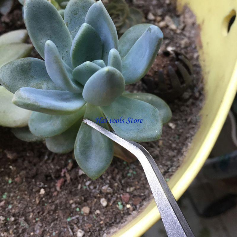 Bonsai Garden Shop - X37E 2 1 Rake jardinagem Espatula