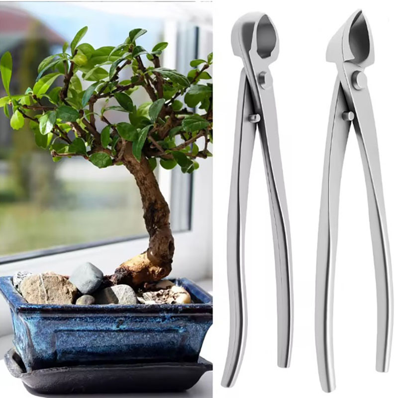 Bonsai Tool Set - 2 pçs 210mm de aço inoxidável