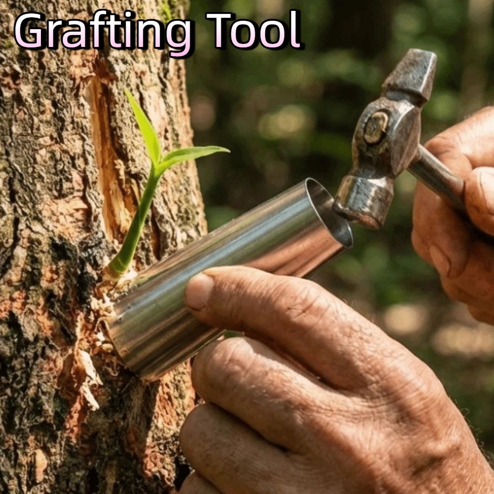 Bonsai Tool Set - Kit 5 Peças de Ferramentas de