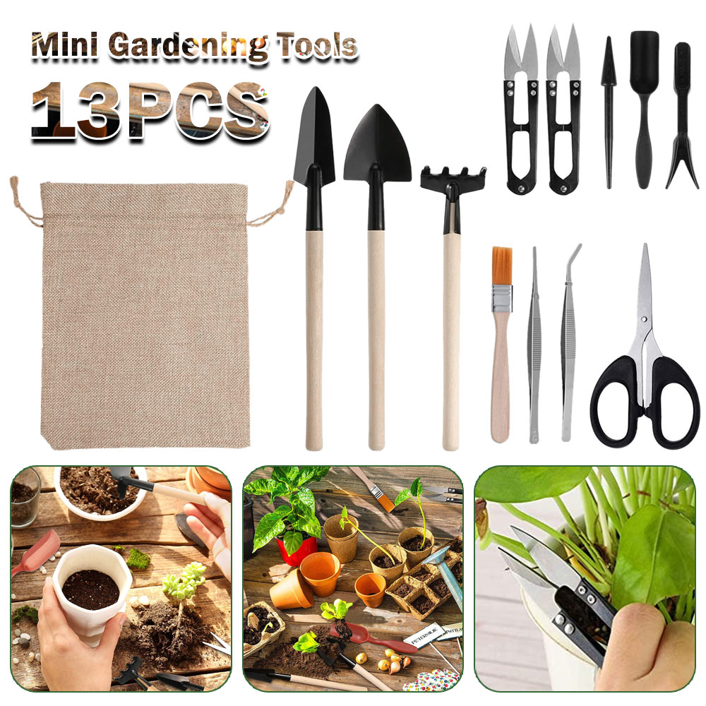 Bonsai Tool Set - Ferramentas de plantas suculentas mini ferramentas