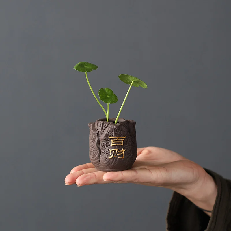 Criativo roxo argila chá pet p - Bonsai Garden Ornaments avaliação e preço