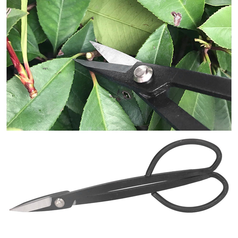 Tesoura de Bonsai em Aço Inoxi - Bonsai Tool Set avaliação e preço
