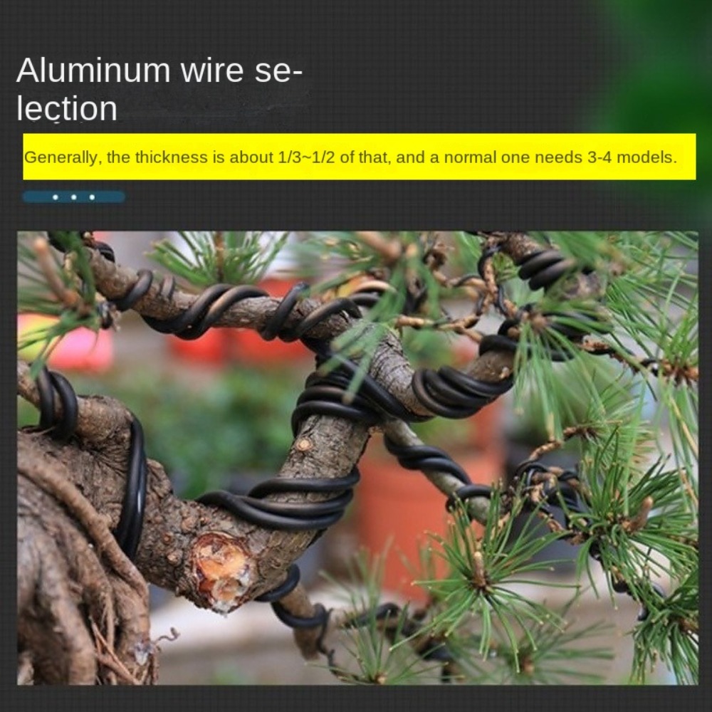 Fio de Alumínio para Bonsai, F - Bonsai Garden Tools avaliação e preço