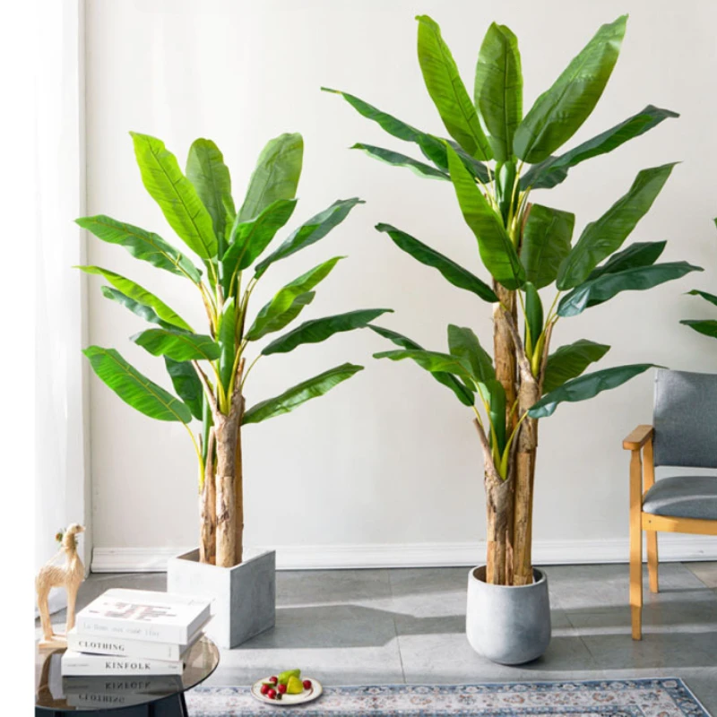 Árvore de Banana Grande de 180 - Bonsai Garden Restaurant avaliação e preço