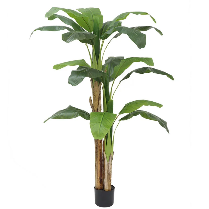 Árvore de Banana Grande de 180 - Bonsai Garden Restaurant avaliação e preço