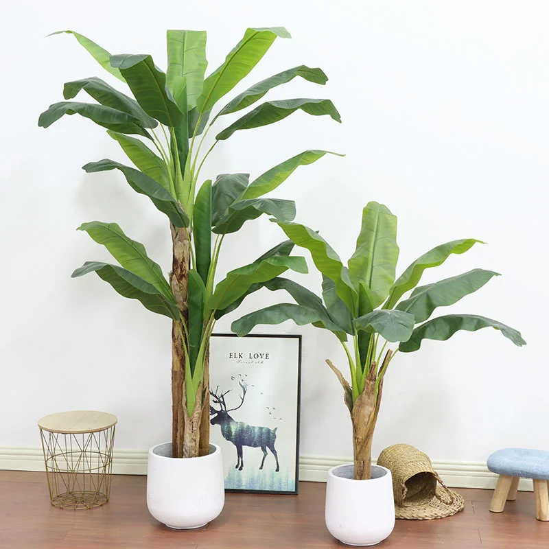 Árvore de Banana Grande de 180 - Bonsai Garden Restaurant avaliação e preço