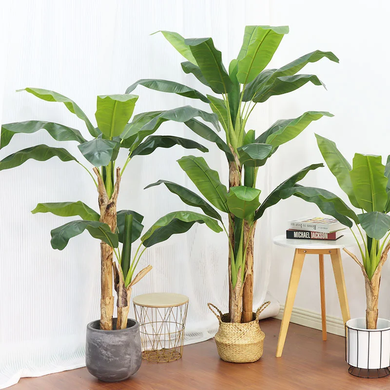 Árvore de Banana Grande de 180 - Bonsai Garden Restaurant avaliação e preço