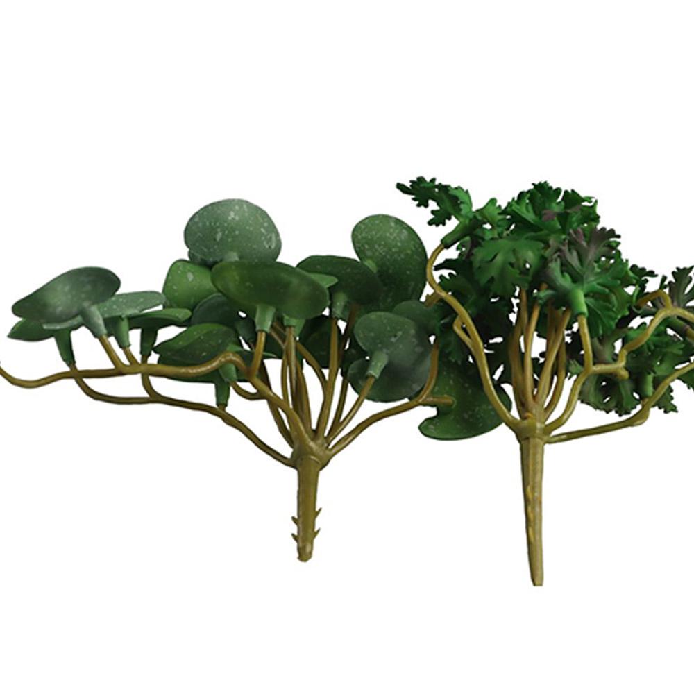Decoração para Casa, Escritóri - Bonsai Garden Shop avaliação e preço