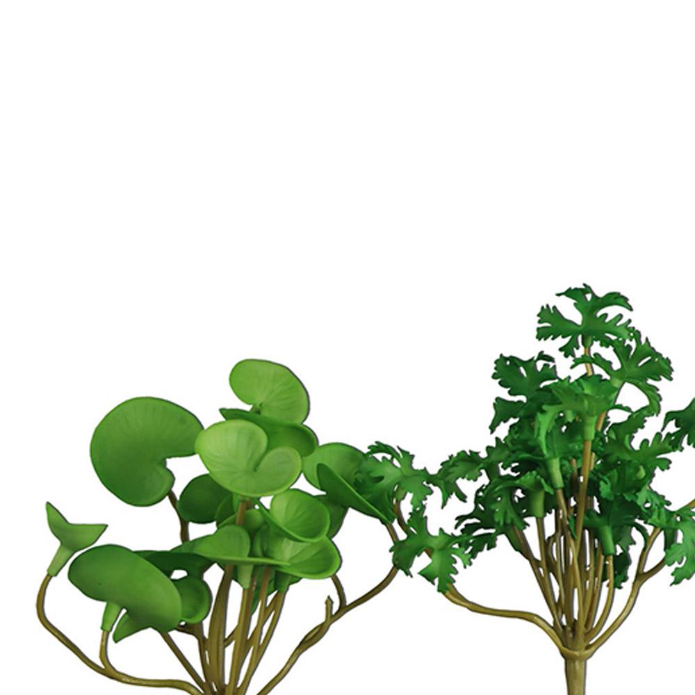 Decoração para Casa, Escritóri - Bonsai Garden Shop avaliação e preço
