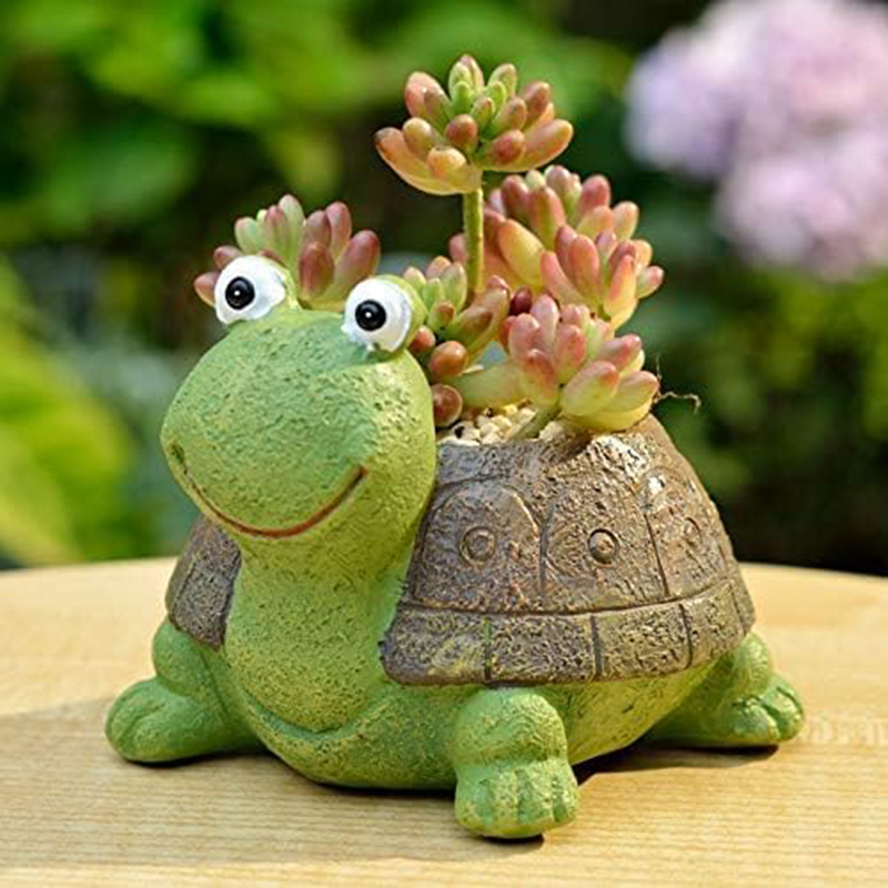 Cute Turtle Planter Suculento  - Bonsai Garden Gift avaliação e preço