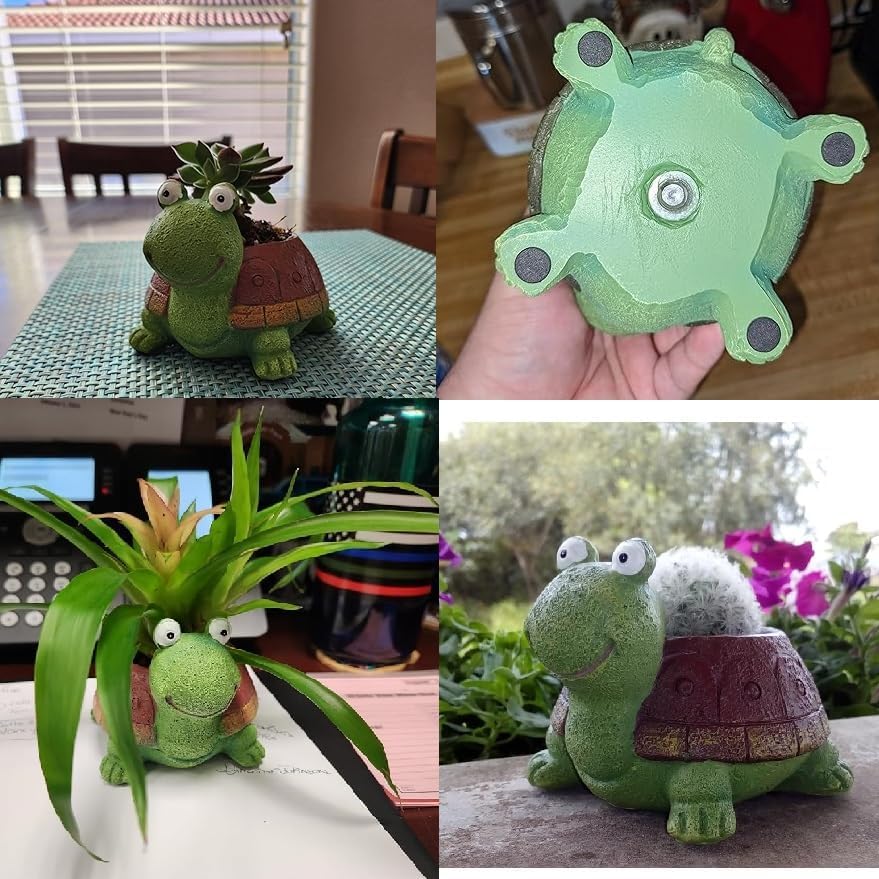 Cute Turtle Planter Suculento  - Bonsai Garden Gift avaliação e preço