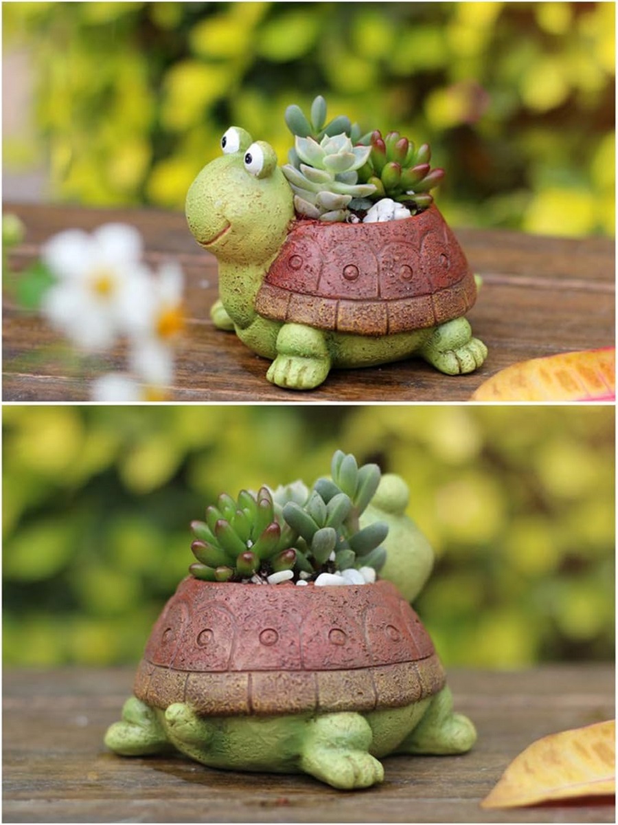 Cute Turtle Planter Suculento  - Bonsai Garden Gift avaliação e preço