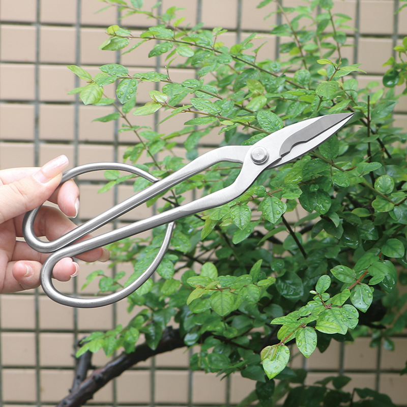 Tesouras de jardim totalmente  - Bonsai Tool Set avaliação e preço