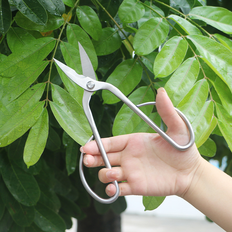 Tesouras de jardim totalmente  - Bonsai Tool Set avaliação e preço