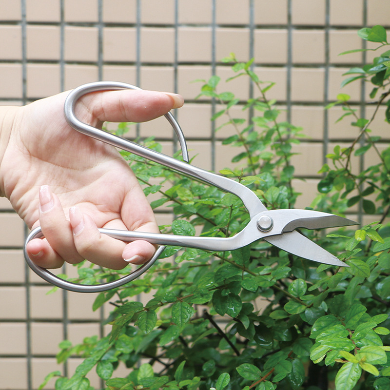 Tesouras de jardim totalmente  - Bonsai Tool Set avaliação e preço