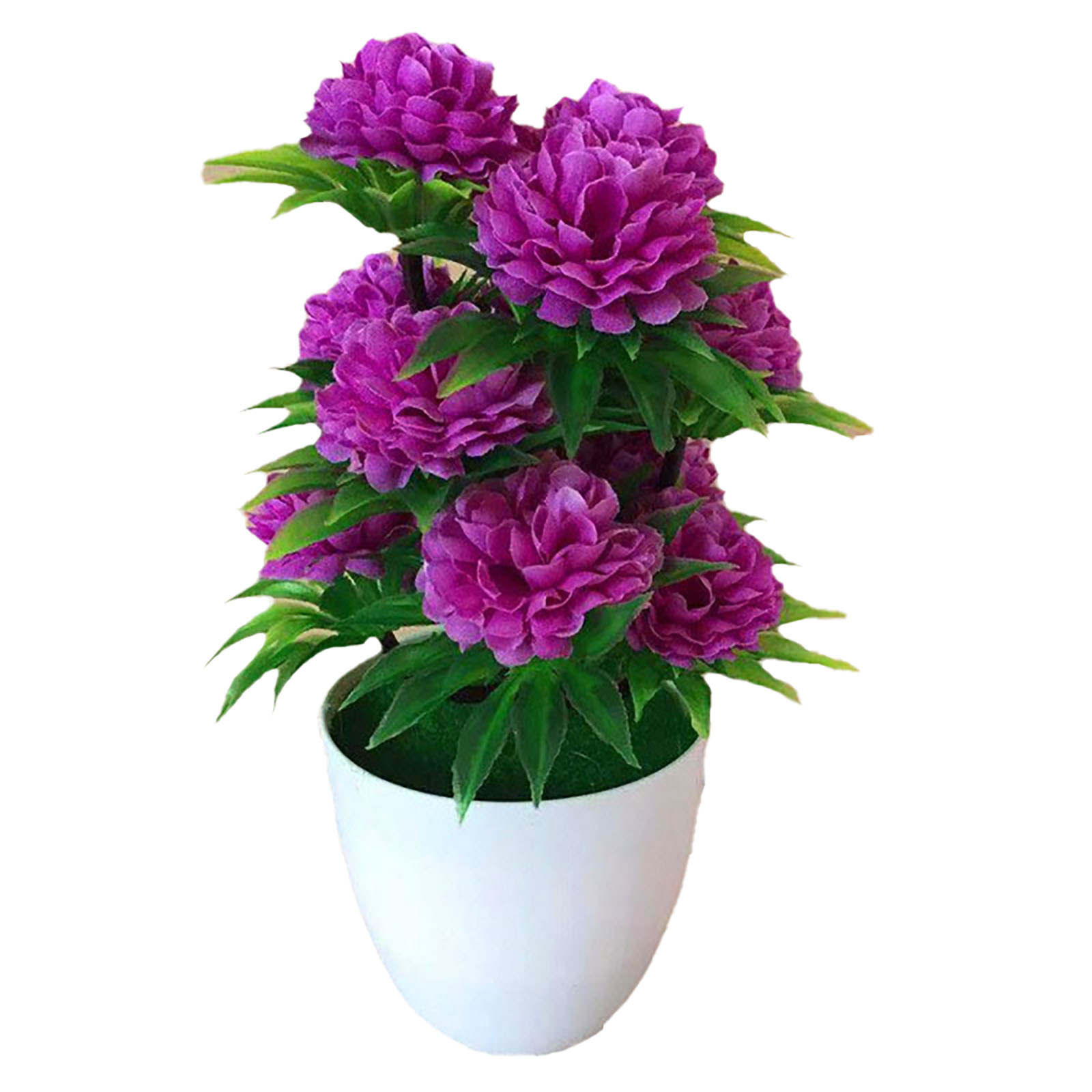 Linda Decoração Elegante: Bons - Bonsai Garden Shop avaliação e preço