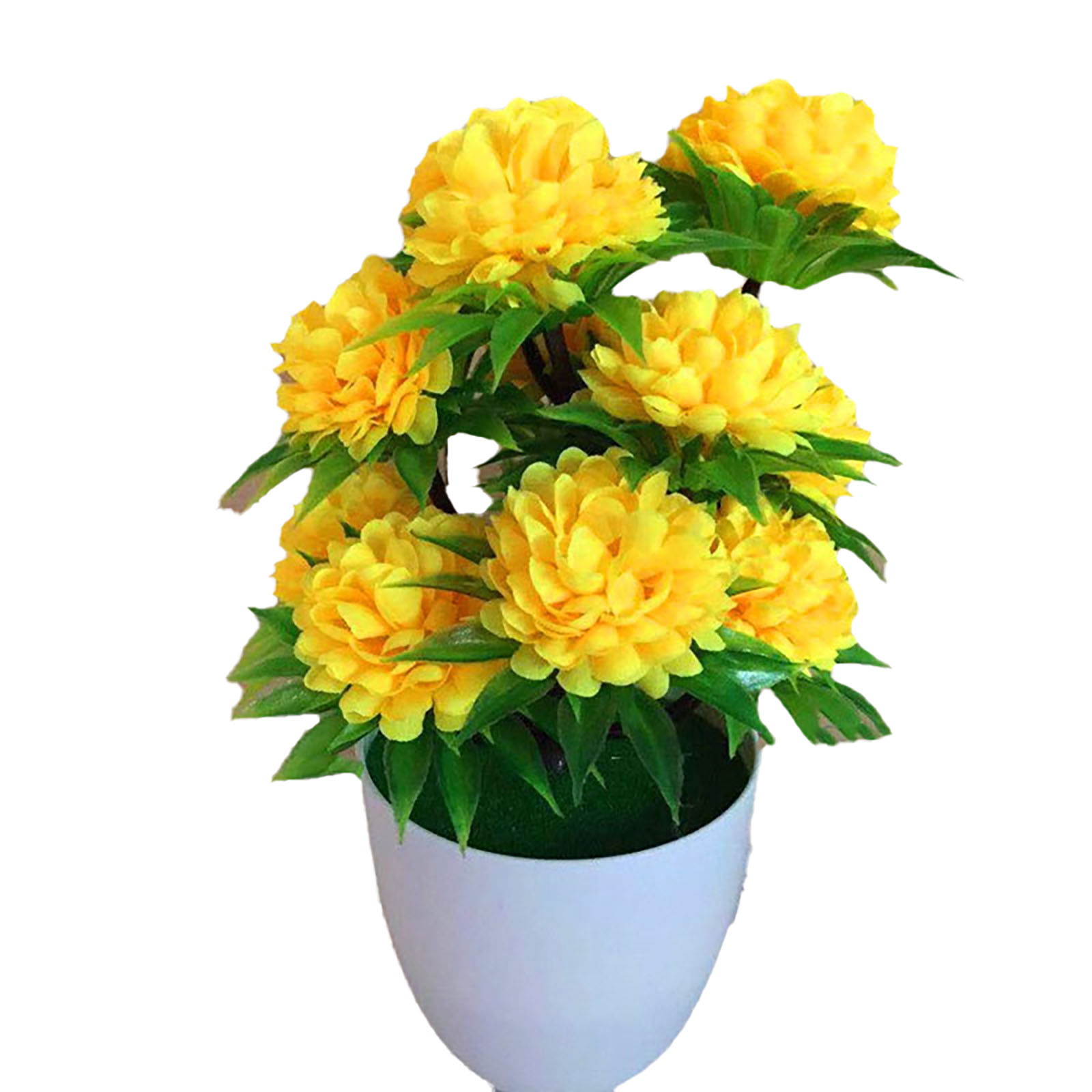 Linda Decoração Elegante: Bons - Bonsai Garden Shop avaliação e preço
