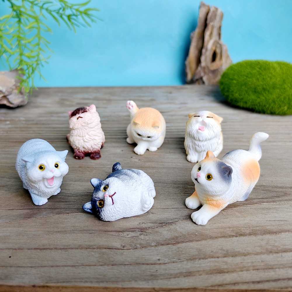 6pc bonito gato cão conjunto a - Bonsai Garden Gift avaliação e preço