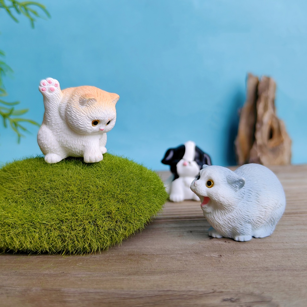 6pc bonito gato cão conjunto a - Bonsai Garden Gift avaliação e preço