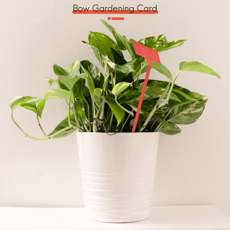 Abyp jardins ferramentas de pl - Bonsai Garden Tools avaliação e preço