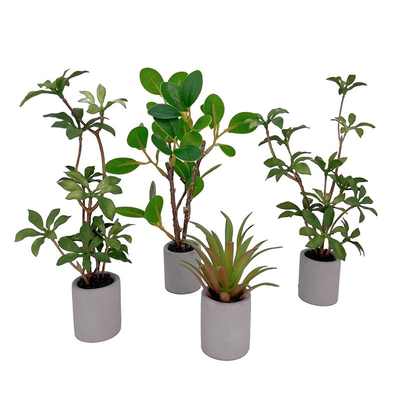 1:6 casa de bonecas em miniatu - Bonsai Garden Ornaments avaliação e preço