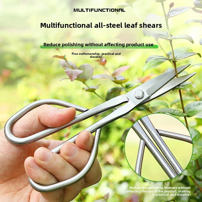 Tesoura de folhas macias, ferr - Bonsai Tool Set avaliação e preço