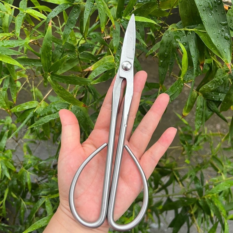 Tesoura de folhas macias, ferr - Bonsai Tool Set avaliação e preço