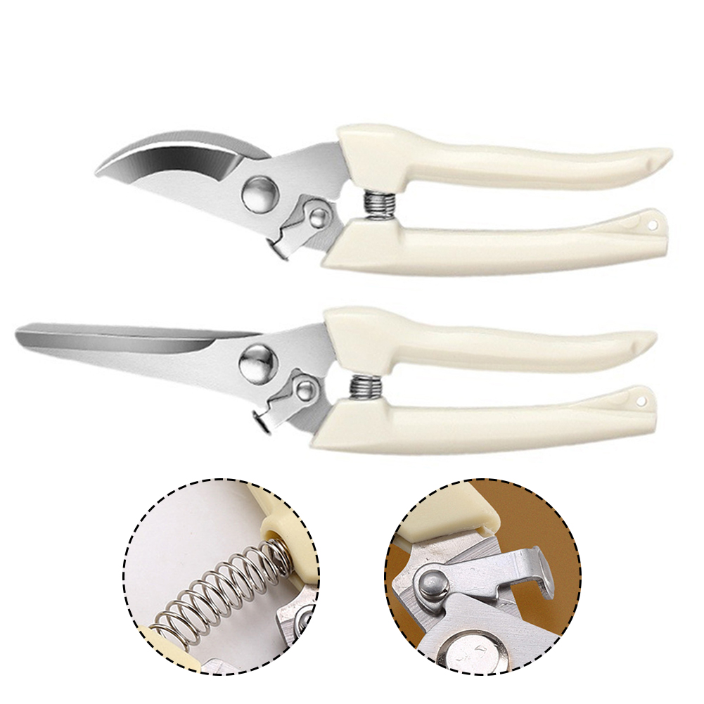 Tesoura podadora ferramentas m - Bonsai Tool Set avaliação e preço