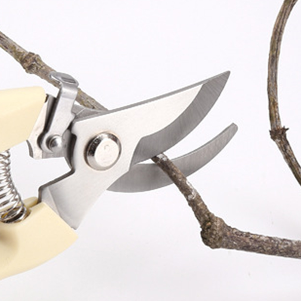 Tesoura podadora ferramentas m - Bonsai Tool Set avaliação e preço