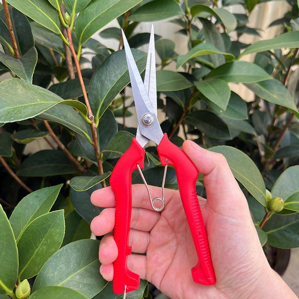 Tesoura de Poda Profissional p - Bonsai Garden Tools avaliação e preço