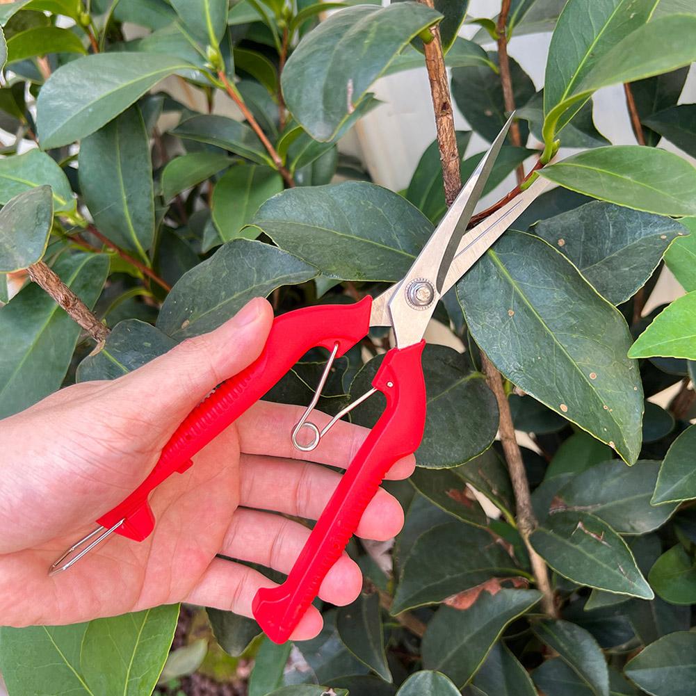 Tesoura de Poda Profissional p - Bonsai Garden Tools avaliação e preço