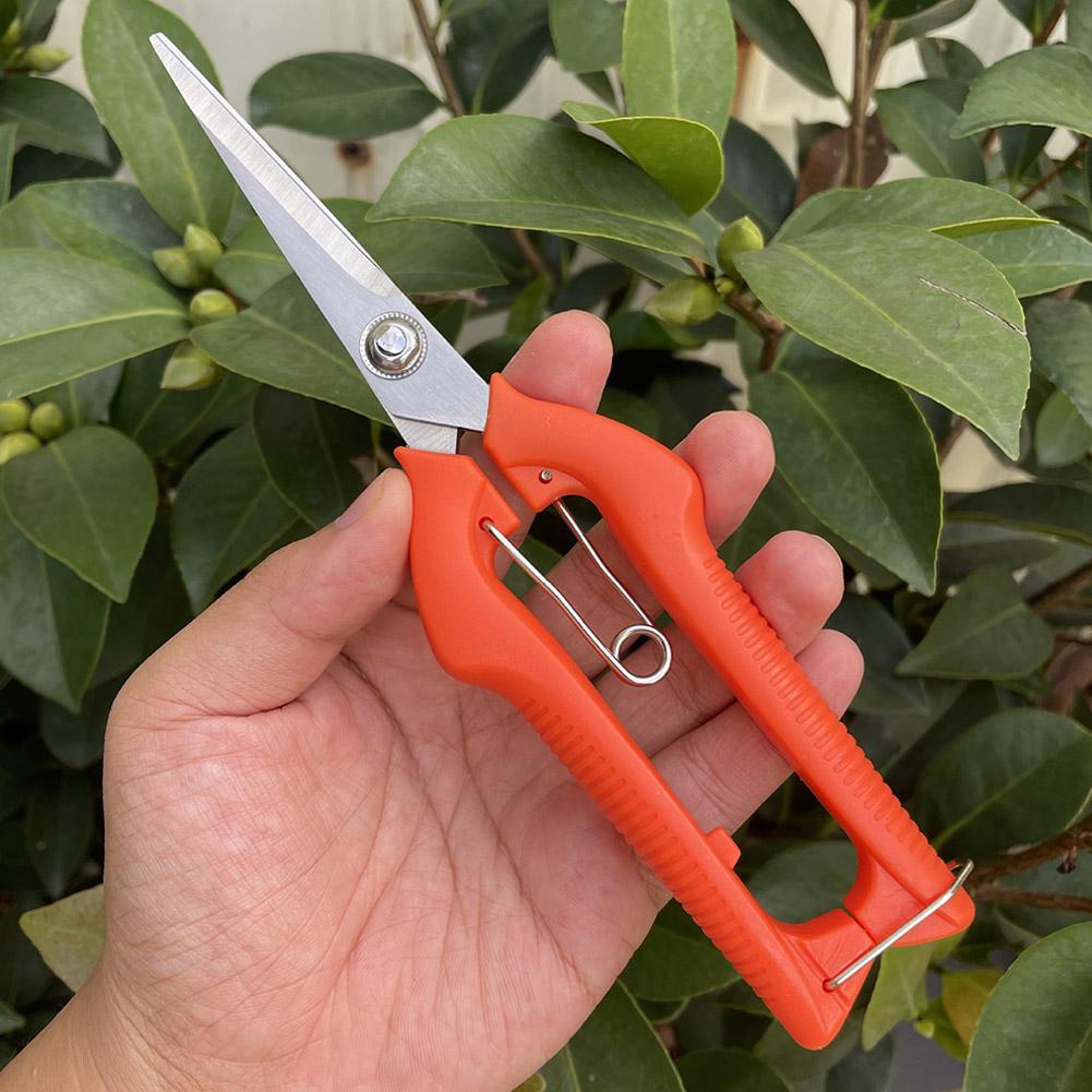 Tesoura de Poda Profissional p - Bonsai Garden Tools avaliação e preço