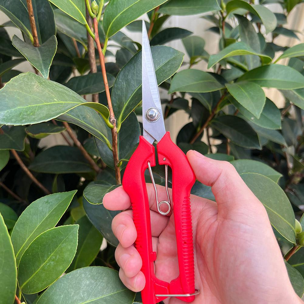 Tesoura de Poda Profissional p - Bonsai Garden Tools avaliação e preço