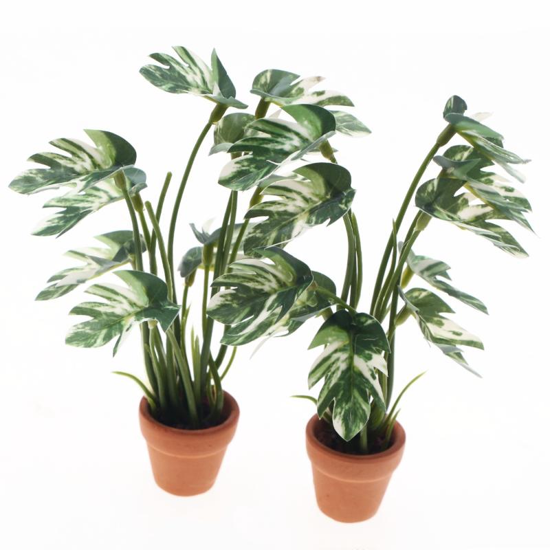 Novo. 1PC Planta Verde Monster - Bonsai Garden Ornaments avaliação e preço