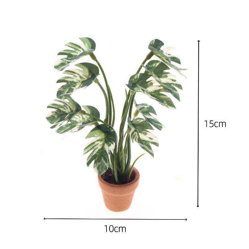 Novo. 1PC Planta Verde Monster - Bonsai Garden Ornaments avaliação e preço