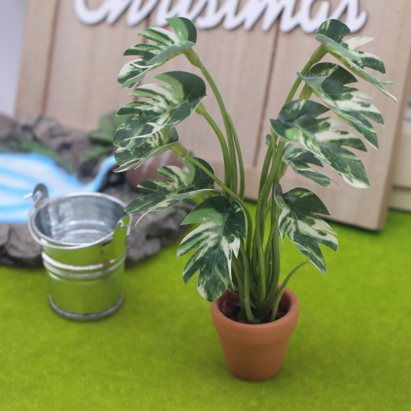 Novo. 1PC Planta Verde Monster - Bonsai Garden Ornaments avaliação e preço