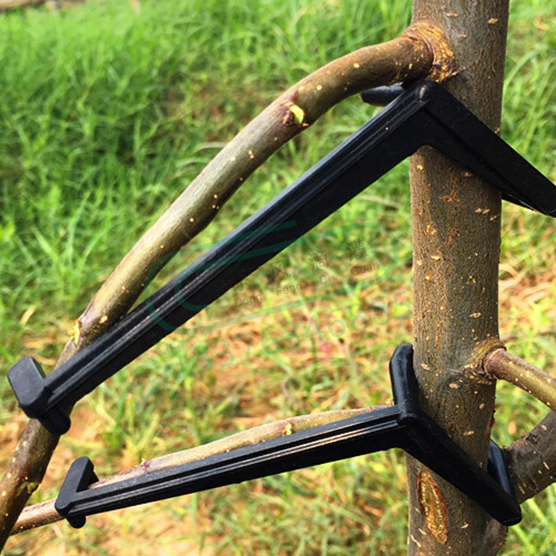 10-30 pçs clipes de árvore de  - Bonsai Garden Tools avaliação e preço