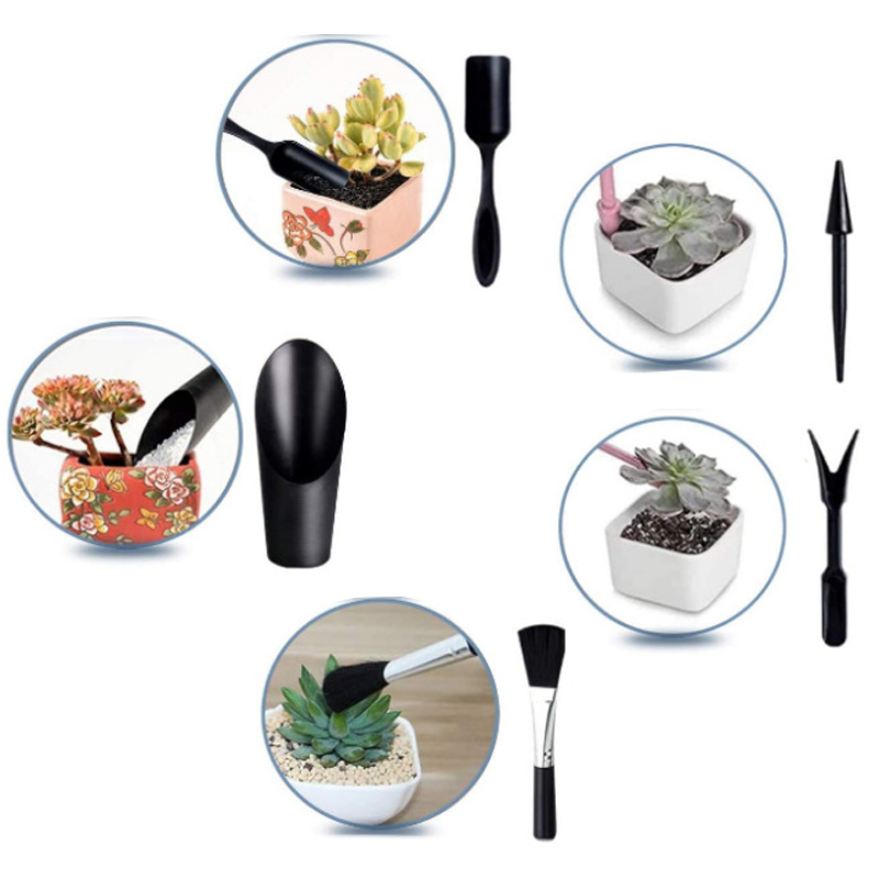 Mini conjunto de ferramentas d - Bonsai Garden Tools avaliação e preço