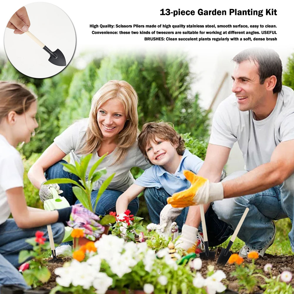 Ferramentas de plantas suculen - Bonsai Tool Set avaliação e preço