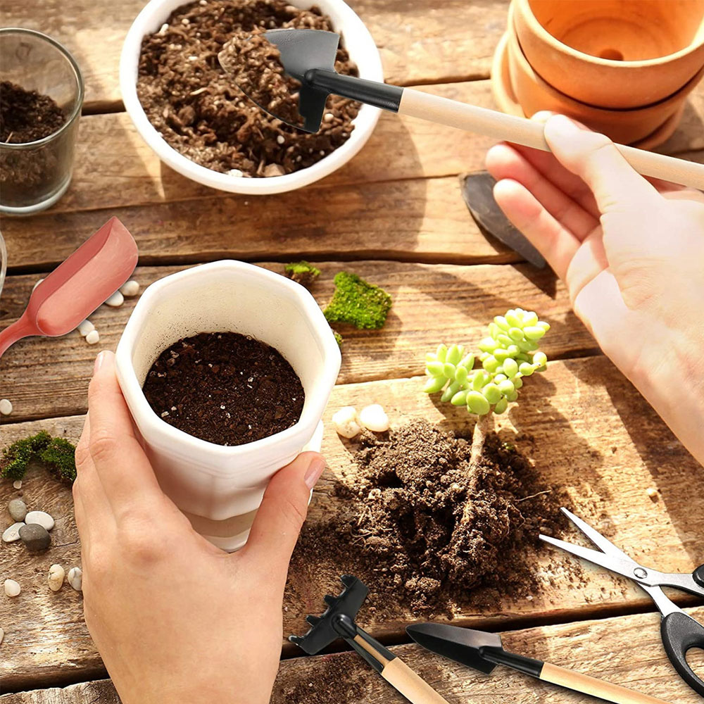 Ferramentas de plantas suculen - Bonsai Tool Set avaliação e preço